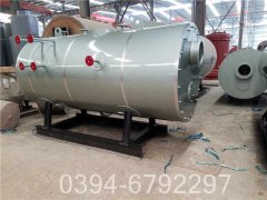 6吨环保热水乐动（中国）