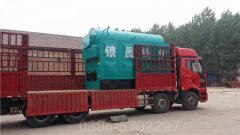 10吨天然气热水乐动（中国）