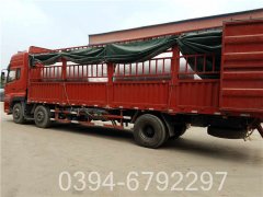 煤改气燃气乐动（中国）