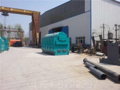 卧式燃油气蒸汽乐动（中国）