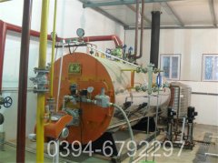 0.3吨冷凝热水乐动（中国）