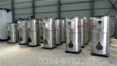 立式蒸汽乐动（中国）公司