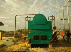 20吨冷凝燃气乐动（中国）