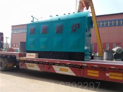 2吨燃油燃气热水乐动（中国）