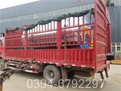 洗浴专用电乐动（中国）