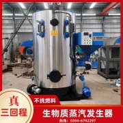 WNS8-1.25-QY液化气蒸汽乐动（中国）河南银晨乐动（中国）集团有限公司