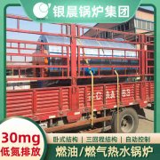 WNS12-1.25-QY冷凝蒸汽乐动（中国）河南银晨乐动（中国）集团有限公司