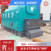 WNS12-1.25-QY环保蒸汽乐动（中国）银晨乐动（中国）