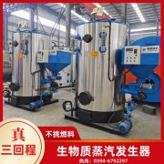 WNS8-1.25-QY冷凝蒸汽乐动（中国）太康县银晨乐动（中国）有限公司