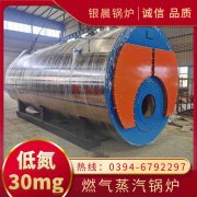 WNS10-1.25-QY低氮冷凝蒸汽乐动（中国）银晨乐动（中国）集团有限公司