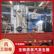 WNS3-1.25-QY冷凝蒸汽乐动（中国）太康县银晨乐动（中国）有限公司