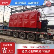 WNS3-1.25-QY环保蒸汽乐动（中国）银晨乐动（中国）集团