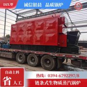 WNS1-1.0-QY节能蒸汽乐动（中国）太康银晨乐动（中国）