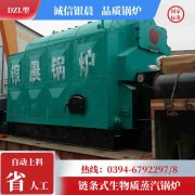 WNS0.3-0.7-QY柴油蒸汽乐动（中国）河南银晨乐动（中国）