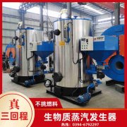 WNS0.2-0.7-QY液化气蒸汽乐动（中国）太康银晨乐动（中国）厂