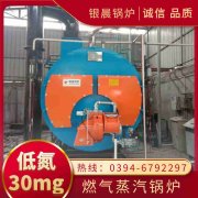 12吨节能蒸汽乐动（中国）银晨乐动（中国）集团