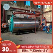 12吨低氮蒸汽乐动（中国）银晨乐动（中国）集团有限公司