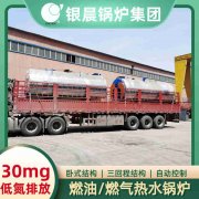 12吨柴油蒸汽乐动（中国）银晨乐动（中国）