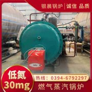 12吨柴油蒸汽乐动（中国）银晨乐动（中国）售后