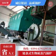 20吨卧式蒸汽乐动（中国）银晨乐动（中国）售后服务