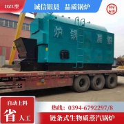 15吨低氮冷凝蒸汽乐动（中国）太康县银晨乐动（中国）厂