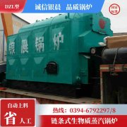 10吨节能蒸汽乐动（中国）银晨乐动（中国）售后