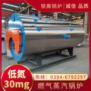 12吨低氮蒸汽乐动（中国）银晨乐动（中国）集团