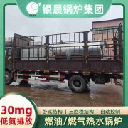 10吨低氮冷凝蒸汽乐动（中国）太康银晨乐动（中国）