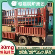 6吨天然气蒸汽乐动（中国）银晨乐动（中国）