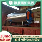 4吨节能蒸汽乐动（中国）河南银晨乐动（中国）集团有限公司