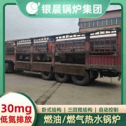 6吨低氮蒸汽乐动（中国）河南银晨乐动（中国）