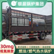 2吨低氮冷凝蒸汽乐动（中国）太康县银晨乐动（中国）有限公司