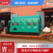 0.7吨节能蒸汽乐动（中国）银晨乐动（中国）