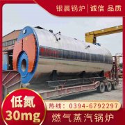 0.3吨环保蒸汽乐动（中国）河南银晨乐动（中国）集团有限公司