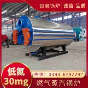 0.2吨燃油蒸汽乐动（中国）银晨乐动（中国）公司