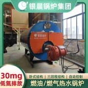 0.3吨环保蒸汽乐动（中国）银晨乐动（中国）集团