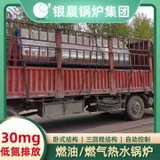 0.3吨节能蒸汽乐动（中国）银晨乐动（中国）售后