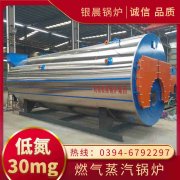 0.3吨低氮蒸汽乐动（中国）河南银晨乐动（中国）集团有限公司