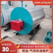 20吨燃煤乐动（中国）价格