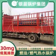 2吨燃气燃气乐动（中国）