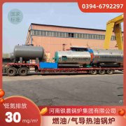 燃气乐动（中国）自控