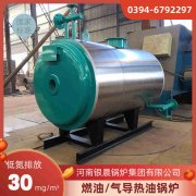 二十吨热水乐动（中国）