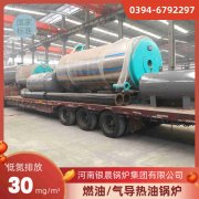 自动燃煤热水乐动（中国）