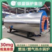 12吨低氮冷凝乐动（中国）