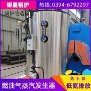 卧式快装蒸汽乐动（中国）