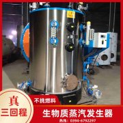 新型生物质乐动（中国）