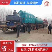 生物质乐动（中国）哪家好