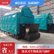 蒸汽乐动（中国）