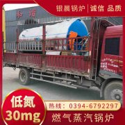 12吨天然气热水乐动（中国）