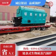 0.3吨燃油热水乐动（中国）